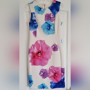 Calvin Klein Floral Dress, Size 10